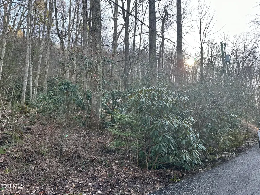 Tbd Southeast 1st Street, Norton, VA 24273 - Image #2