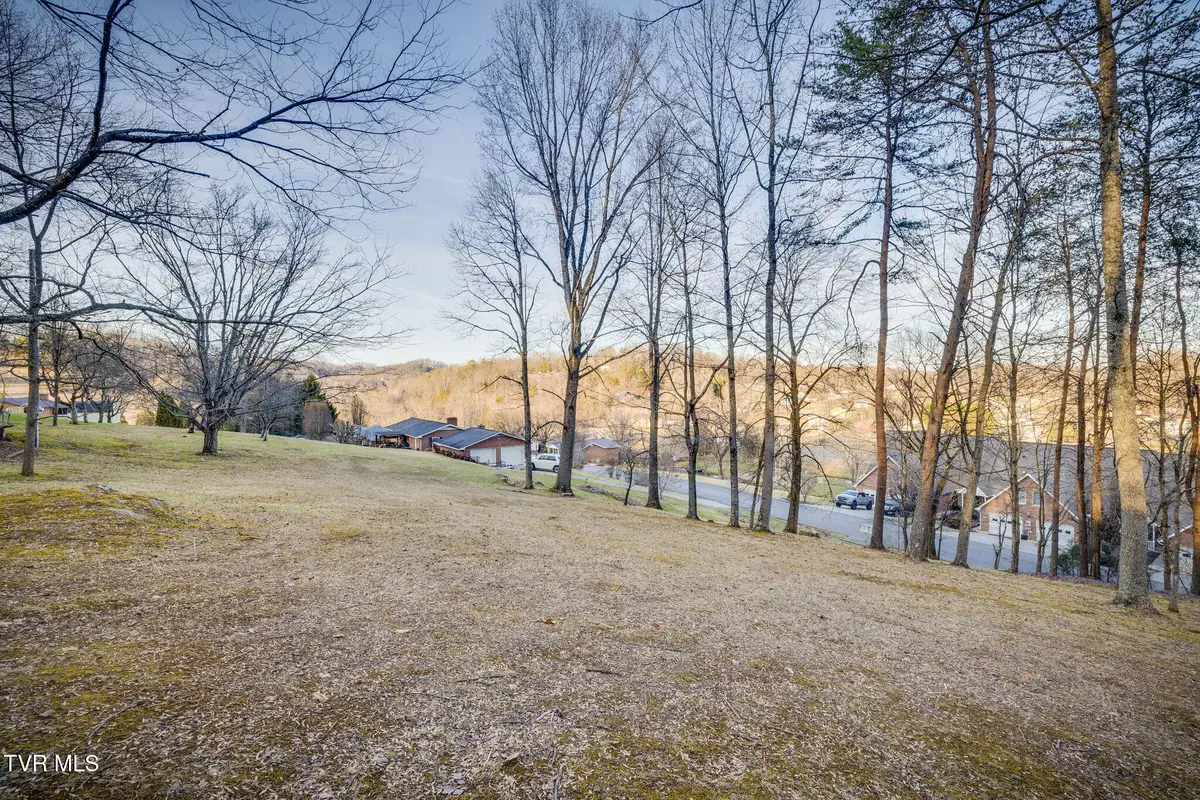 Tbd Alexander Avenue, Church Hill, TN 37642 - Image #1