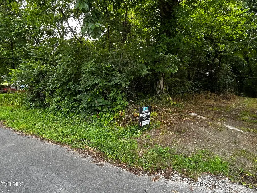 198 Maple Tree Lane, Watauga, TN 37694 - Image #2