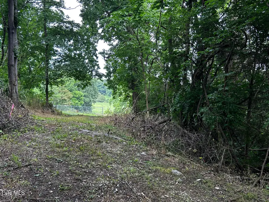 198 Maple Tree Lane, Watauga, TN 37694 - Image #3