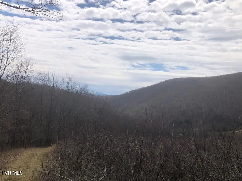 00 Helton Creek Lane, Whitetop, VA 24292 - #1