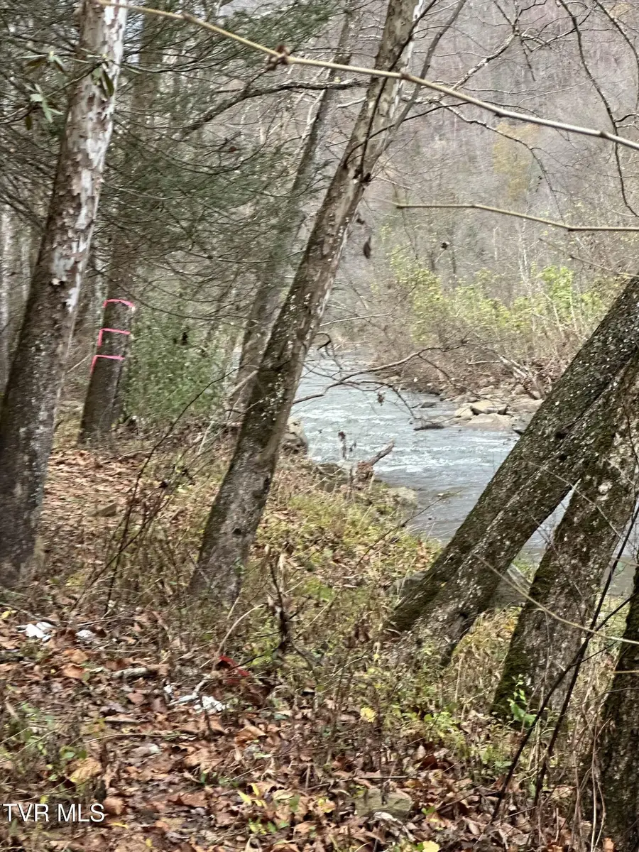 Tbd Retriever Lane, Haysi, VA 24256 - Image #3