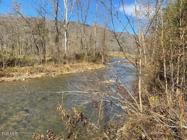 00 Off Roan Creek Road, Butler, TN 37640