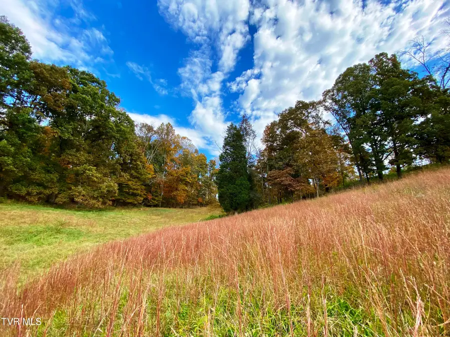 Tbd Hwy 11w, Surgoinsville, TN 37873 - Image #3