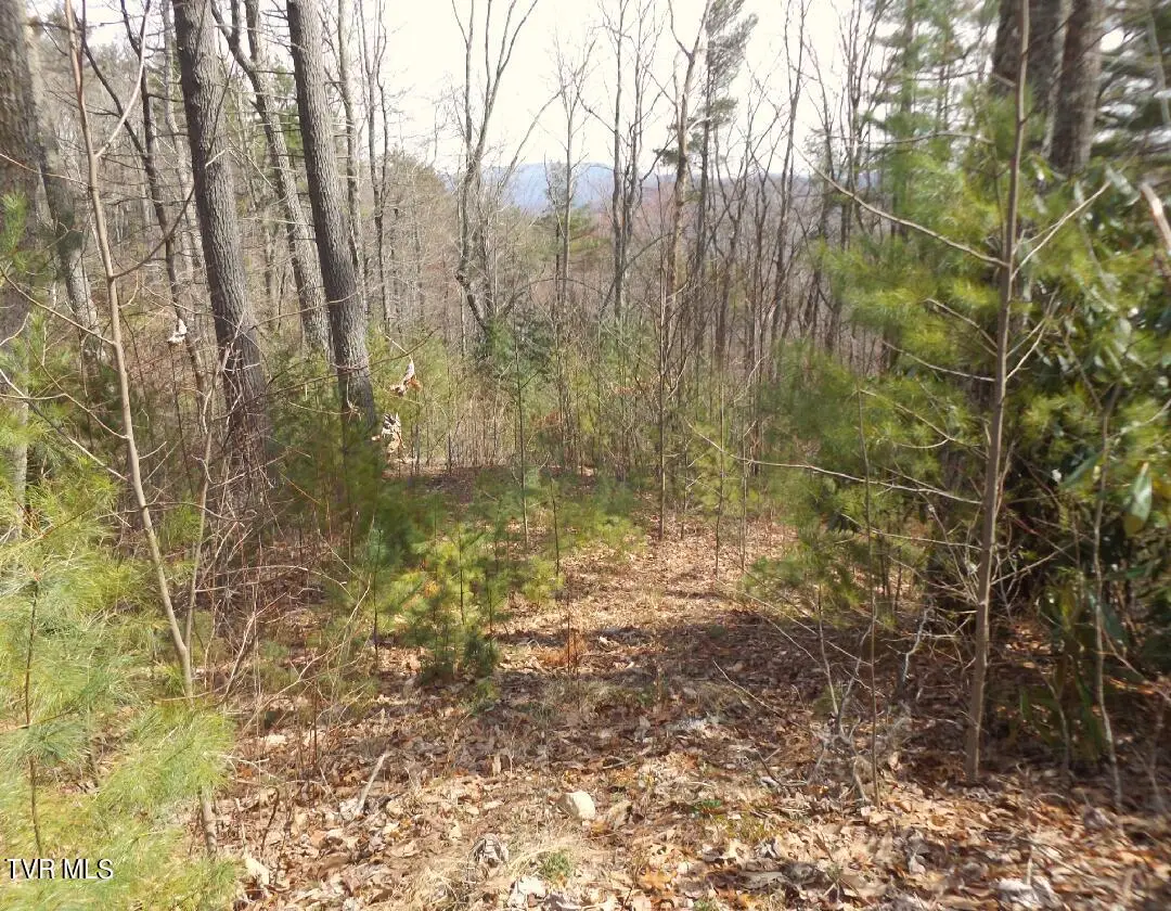 401 Chestnut Lot 54 Circle, Butler, TN 37640 - #1