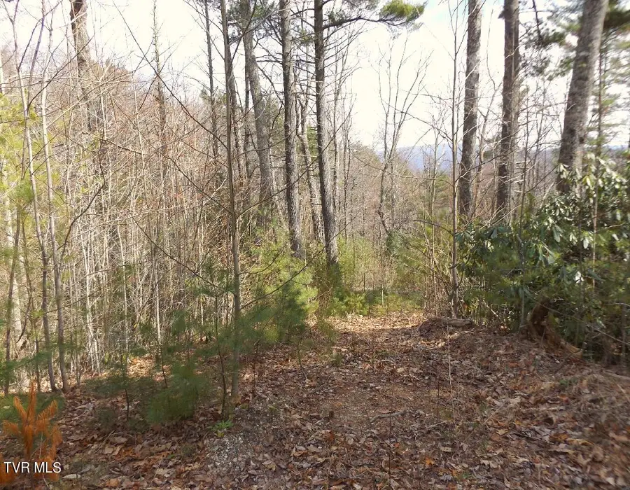 401 Chestnut Lot 54 Circle, Butler, TN 37640 - #2