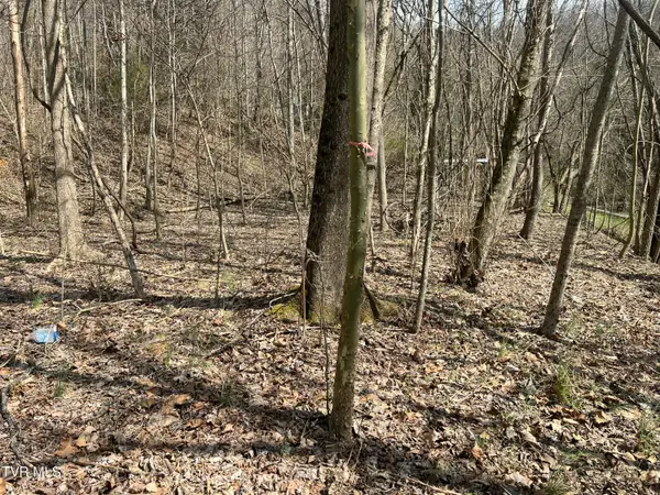 117 Icy Lane, Elizabethton, TN 37643