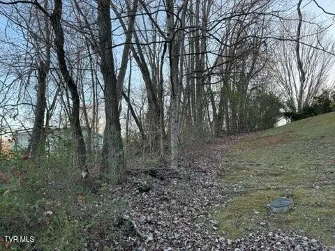 Tbd Briscoe Drive, Bristol, VA 24202 - Image #2