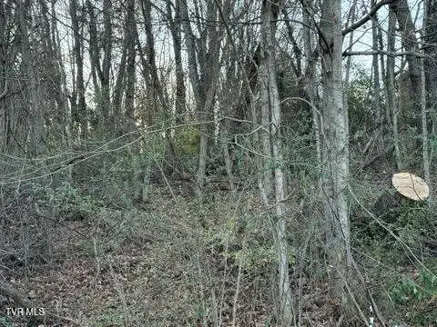 Tbd Briscoe Drive, Bristol, VA 24202 - Image #3