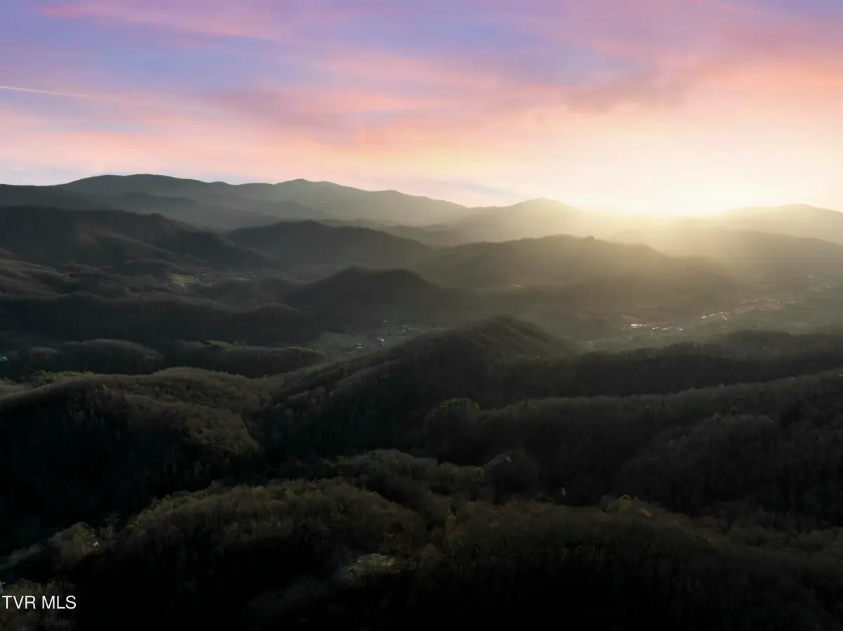 Tbd Buck Mountain Road, Roan Mountain, TN 37687 - #1