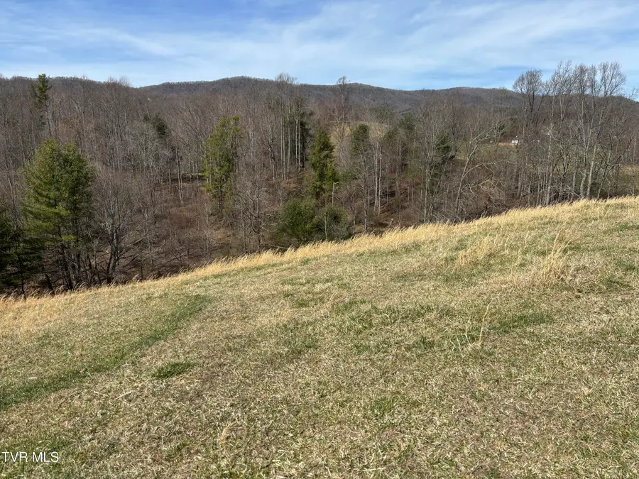 140 Dw Of Swift Road, Mountain City, TN 37683 - Image #2