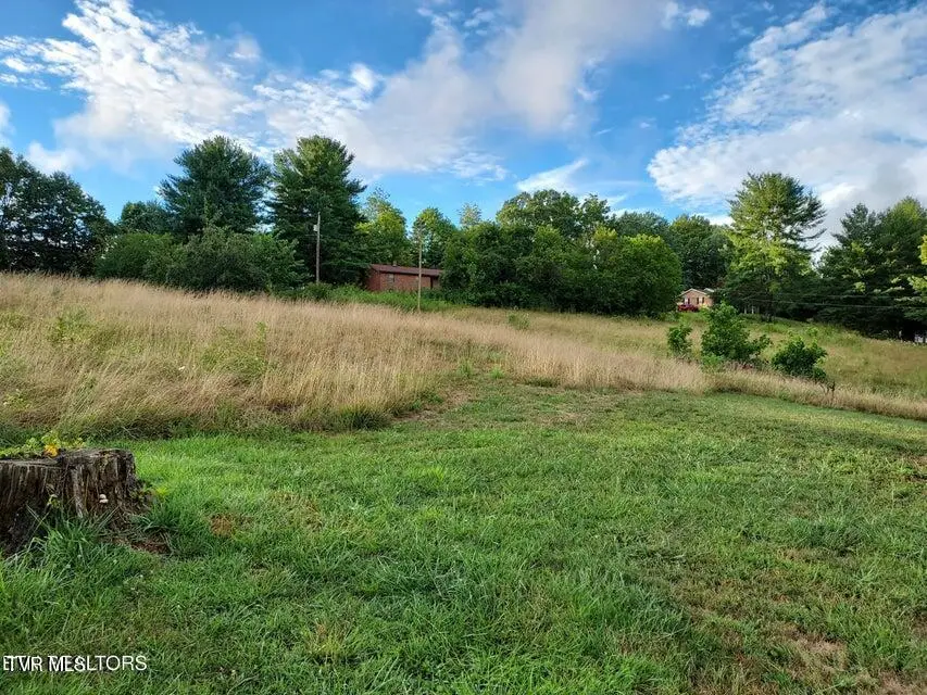 Tbd Luther Villa Road, Sneedville, TN 37869 - Image #2