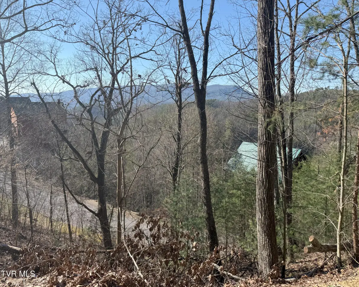 Lot 155r Black Bear Cub Way, Pigeon Forge, TN 37863 - Image #1
