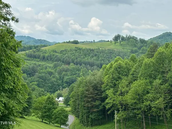 Lot 8 High Country Rd Pvt Road, Butler, TN 37640