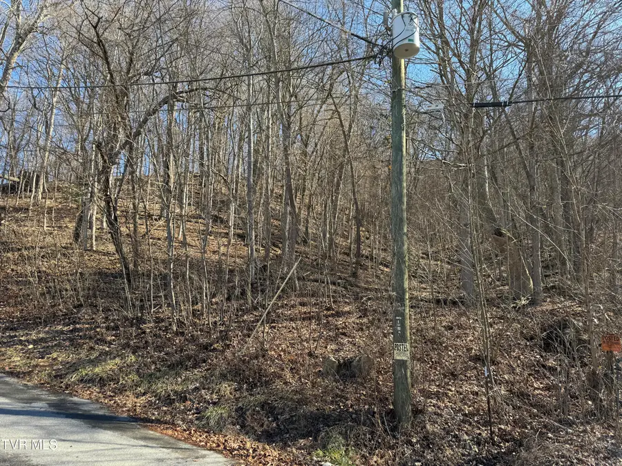 1020 Boyd Path Court, Kingsport, TN 37660 - Image #2