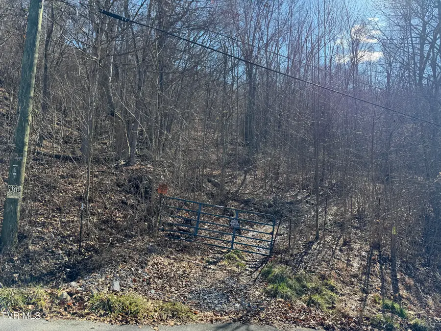 1020 Boyd Path Court, Kingsport, TN 37660 - Image #3