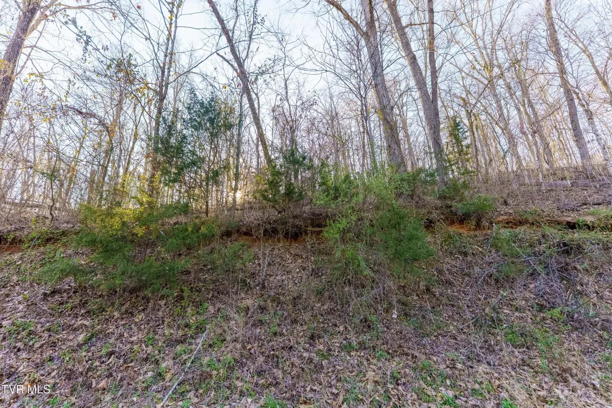34 Ac Douglas Dam Road, Kodak, TN 37764 - Image #1