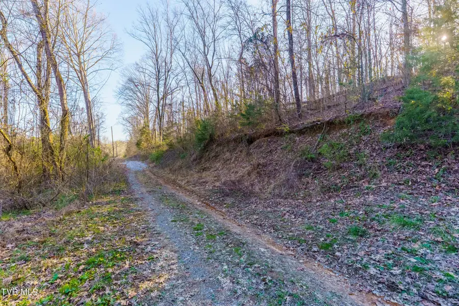 34 Ac Douglas Dam Road, Kodak, TN 37764 - Image #2