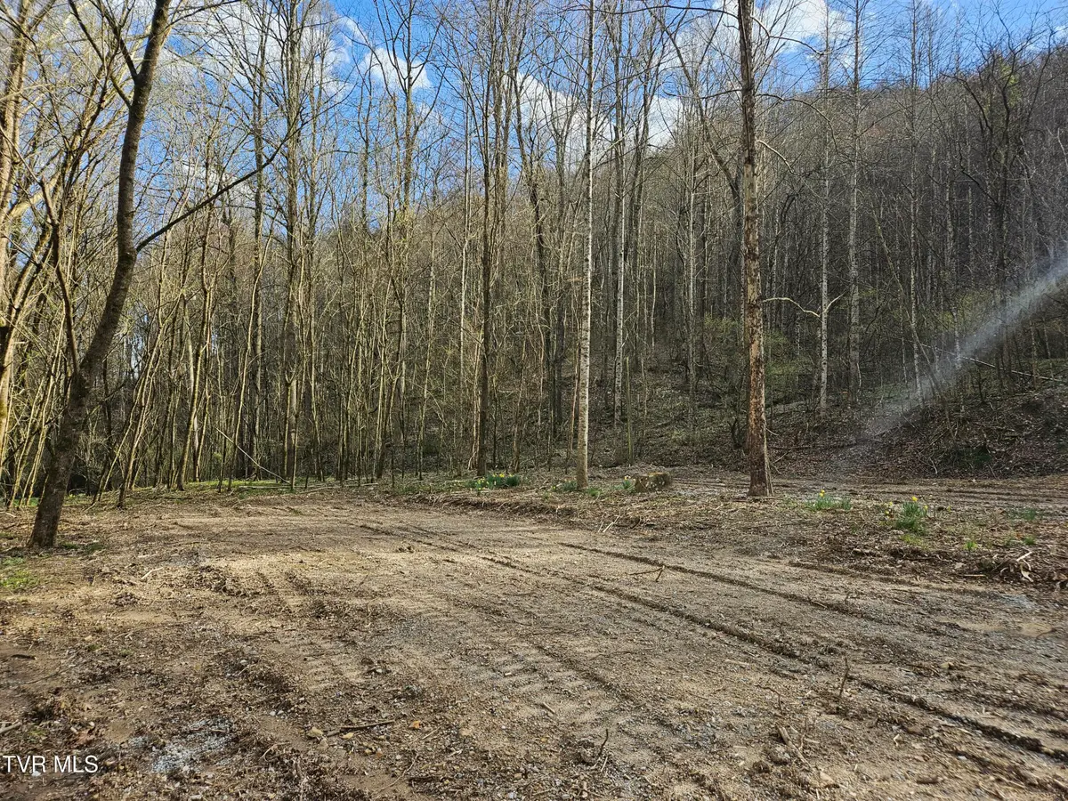 Tbd Right Poor Valley Road, Dryden, VA 24243 - Image #1