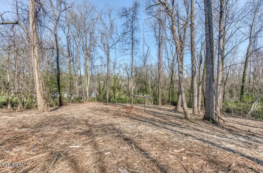 Tbd East Tenth Extension Avenue, Johnson City, TN 37601 - Image #2
