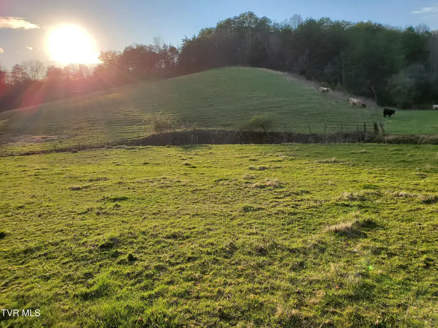 Tbd 49.60 Looney Road, Parrottsville, TN 37843 - Image #3