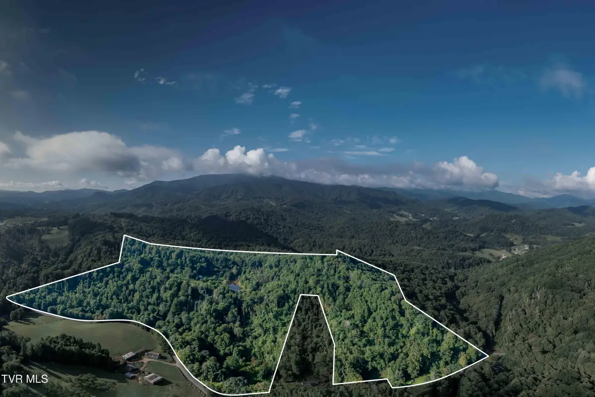 306 Bear Branch Rd, Roan Mountain, TN 37687 - Image #1