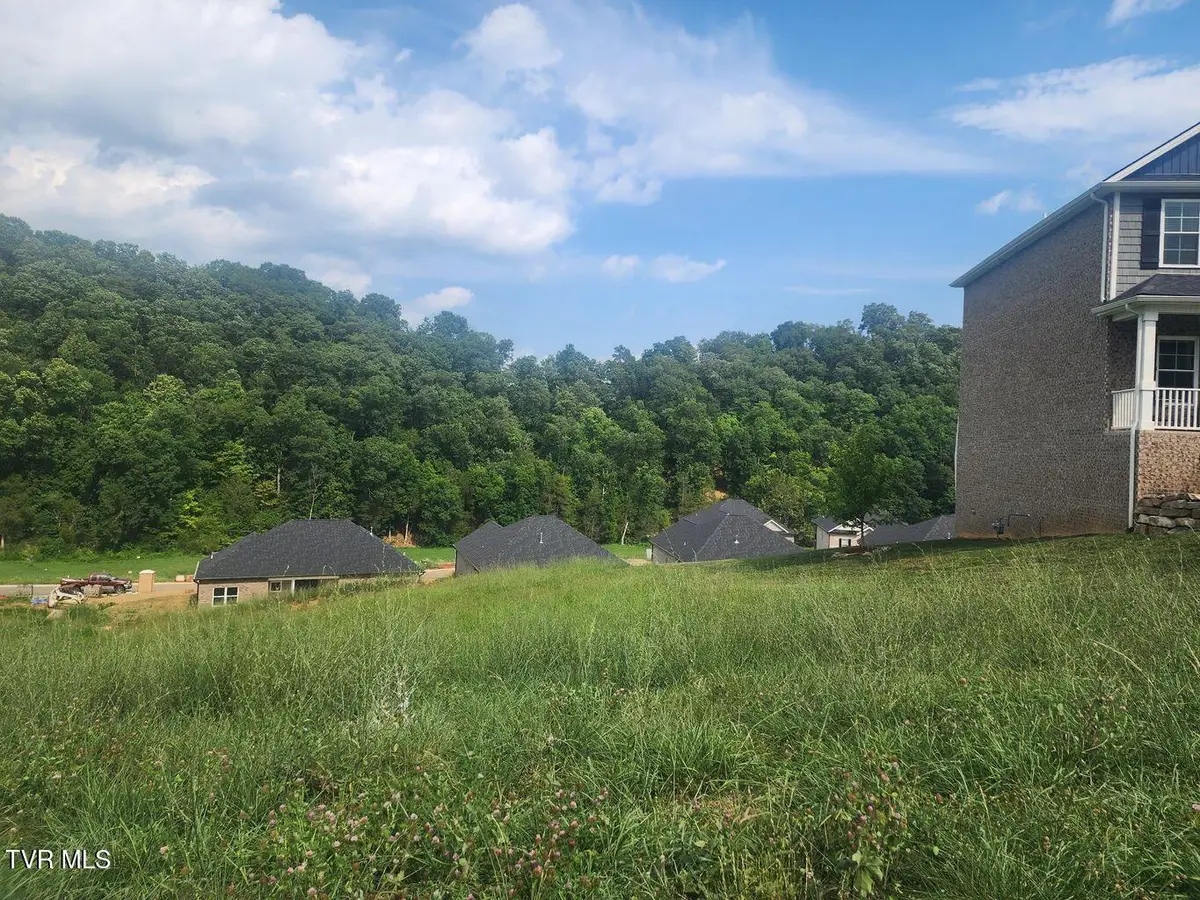 1633 Prospects Way, Gray, TN 37615 - #1