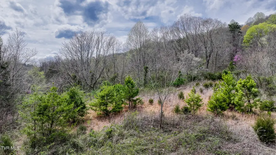 340 Melinda Ferry Road, Rogersville, TN 37857 - Image #3