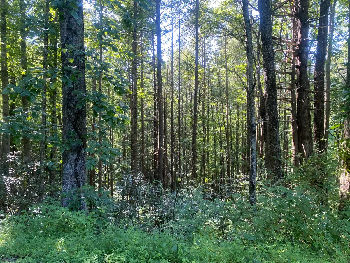 Tbd Cherokee Circle, Erwin, TN 37650 - Image #1