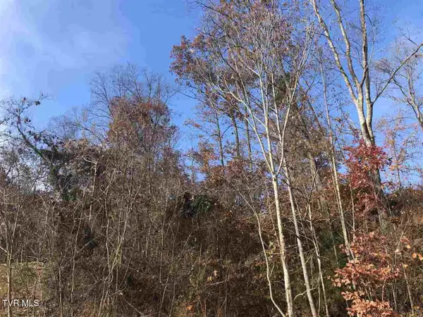 212 Austin Drive, Rogersville, TN 37857