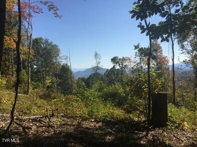 0 Heaton Branch Road, Roan Mountain, TN 37687 - #2