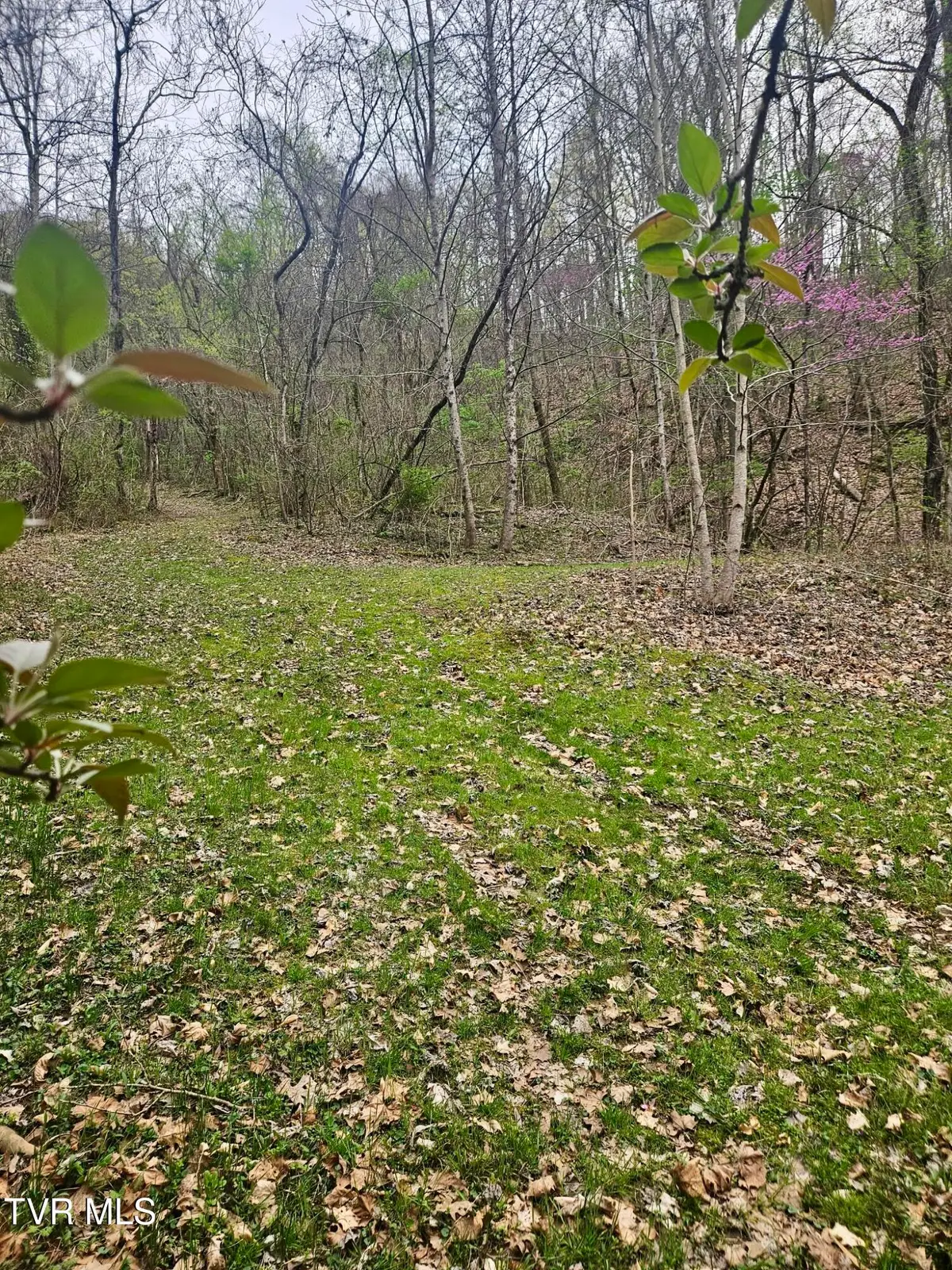 0 Christians Bend Road, Church Hill, TN 37642 - #1