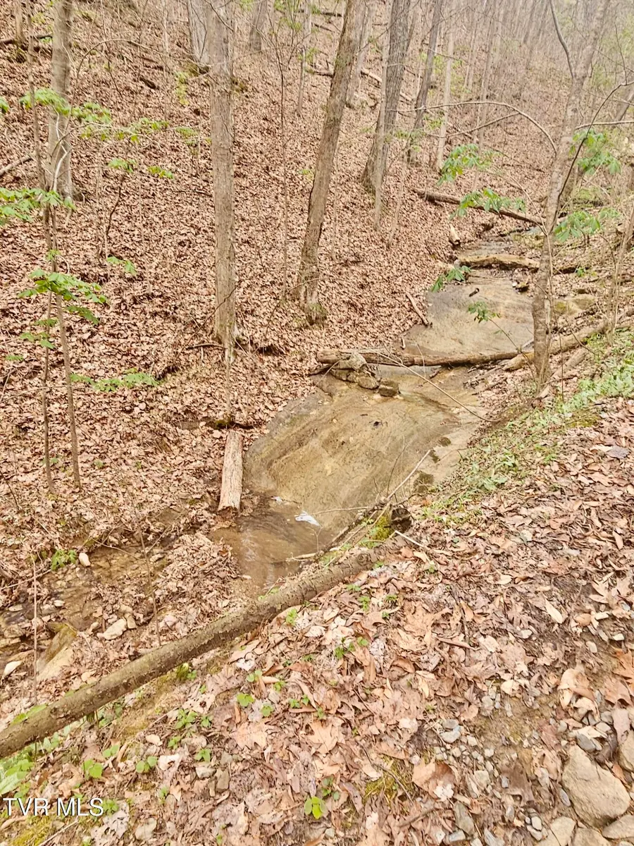 0 Christians Bend Road, Church Hill, TN 37642 - #2