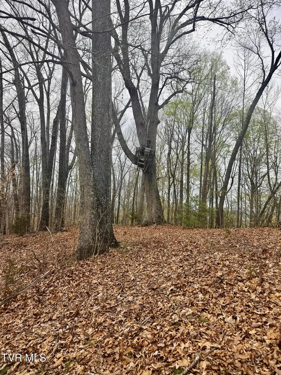 0 Christians Bend Road, Church Hill, TN 37642 - #3