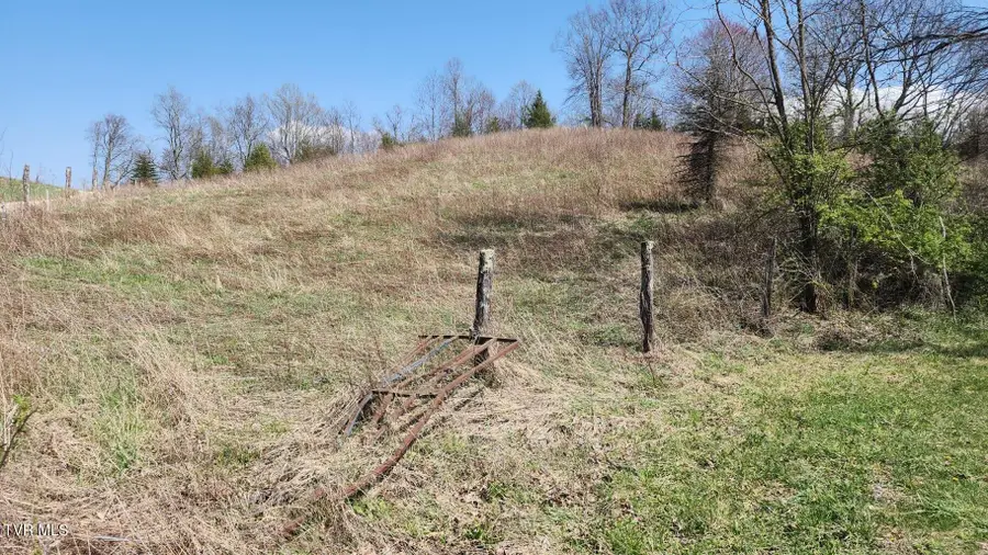 000 Walnut Mountain Road, Roan Mountain, TN 37687 - #3