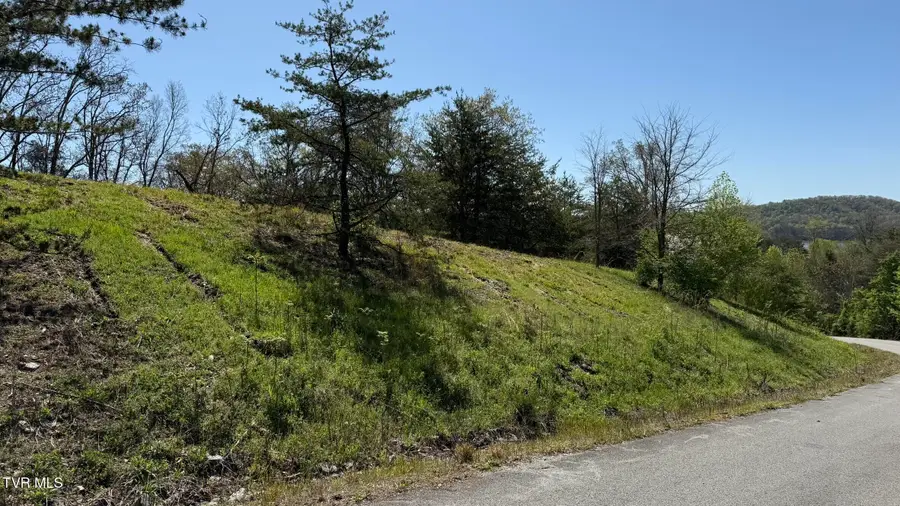 Lot 52 Bayside Boulevard, Bean Station, TN 37708 - Image #2
