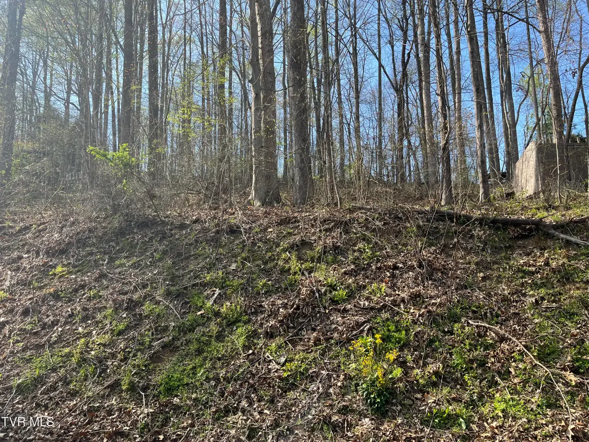 Tbd Wedgewood Road, Big Stone Gap, VA 24219 - Image #1