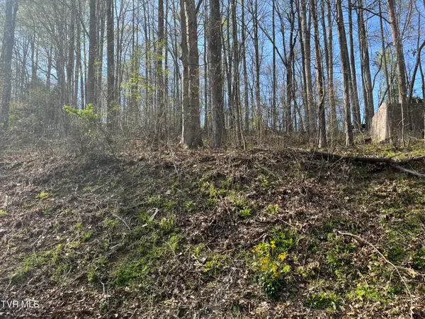 Tbd Wedgewood Road, Big Stone Gap, VA 24219