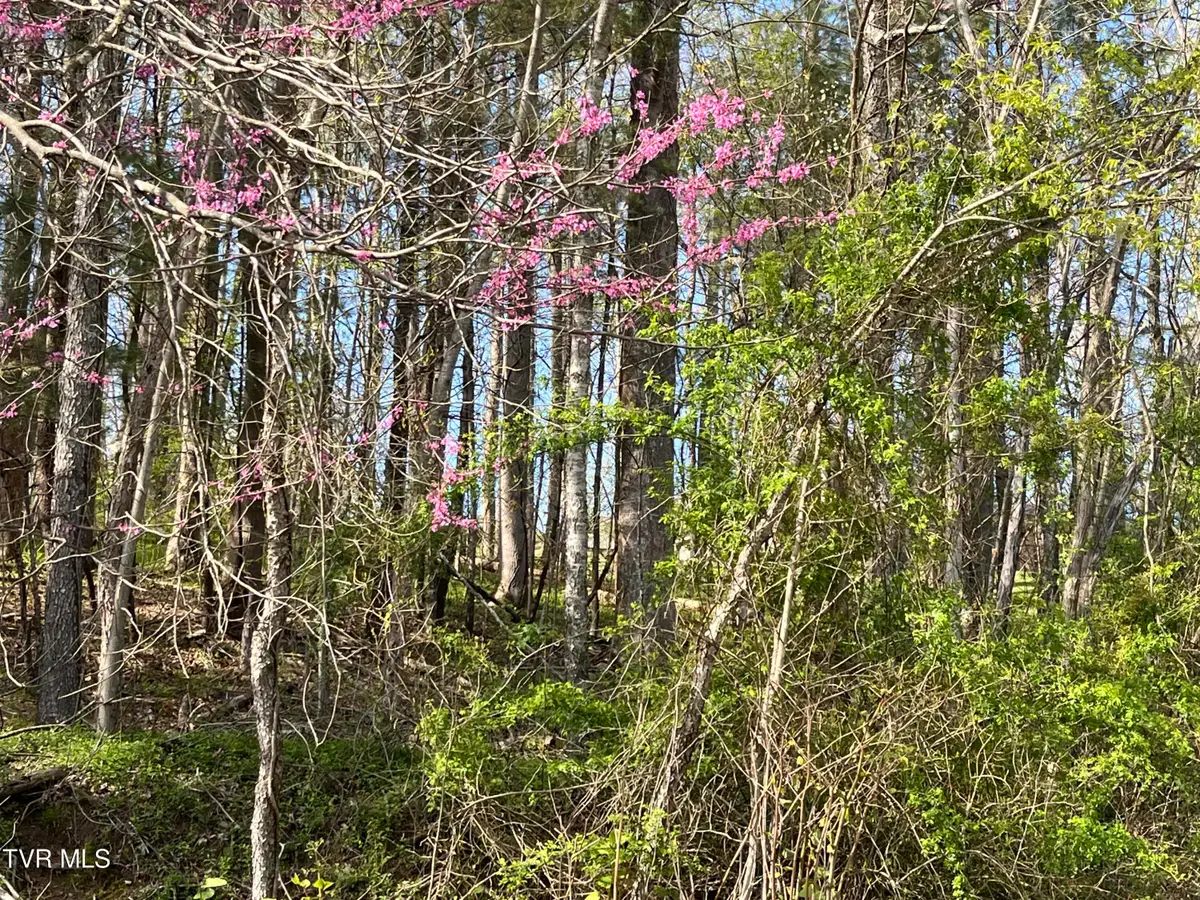 2 Lots Powell Valley Road Road, Big Stone Gap, VA 24219 - Image #1