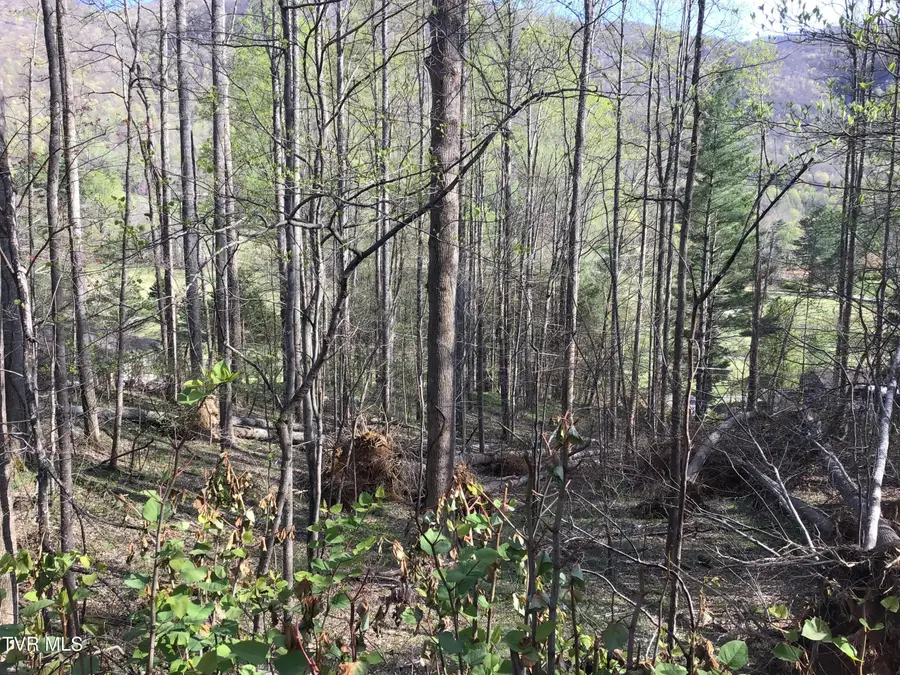 2 Lots Powell Valley Road Road, Big Stone Gap, VA 24219 - Image #3