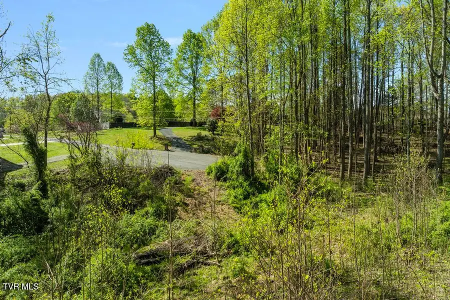 310 Mitchell Court, Jonesborough, TN 37659 - Image #2