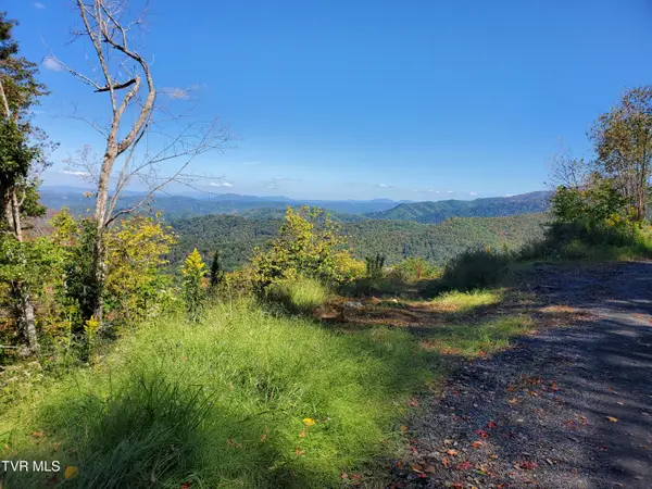 00 Cloudland Drive, Roan Mountain, TN 37687