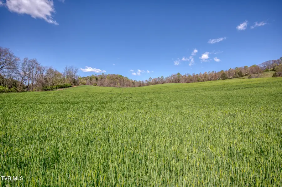 Tbd Wallace Pike, Bristol, VA 24202 - Image #3