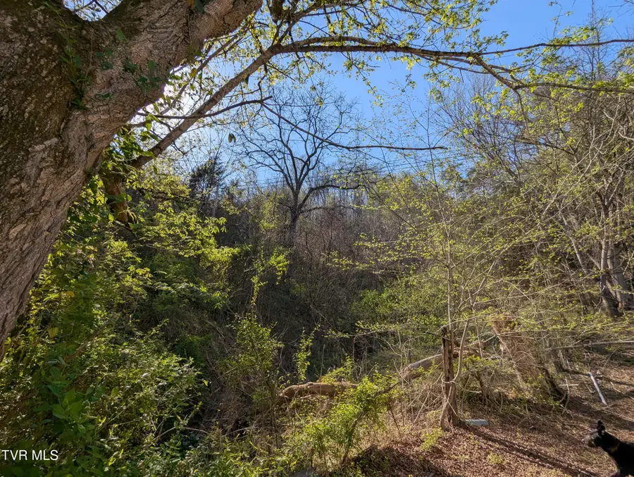 2310 Speers Valley Road, Duffield, VA 24244 - Image #3