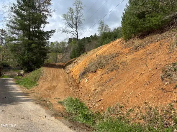 00 Joe Wallace Road, Trade, TN 37691