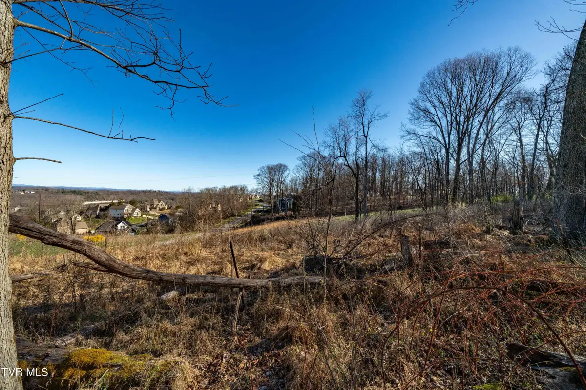 1579 Becky Drive, Johnson City, TN 37601 - #1