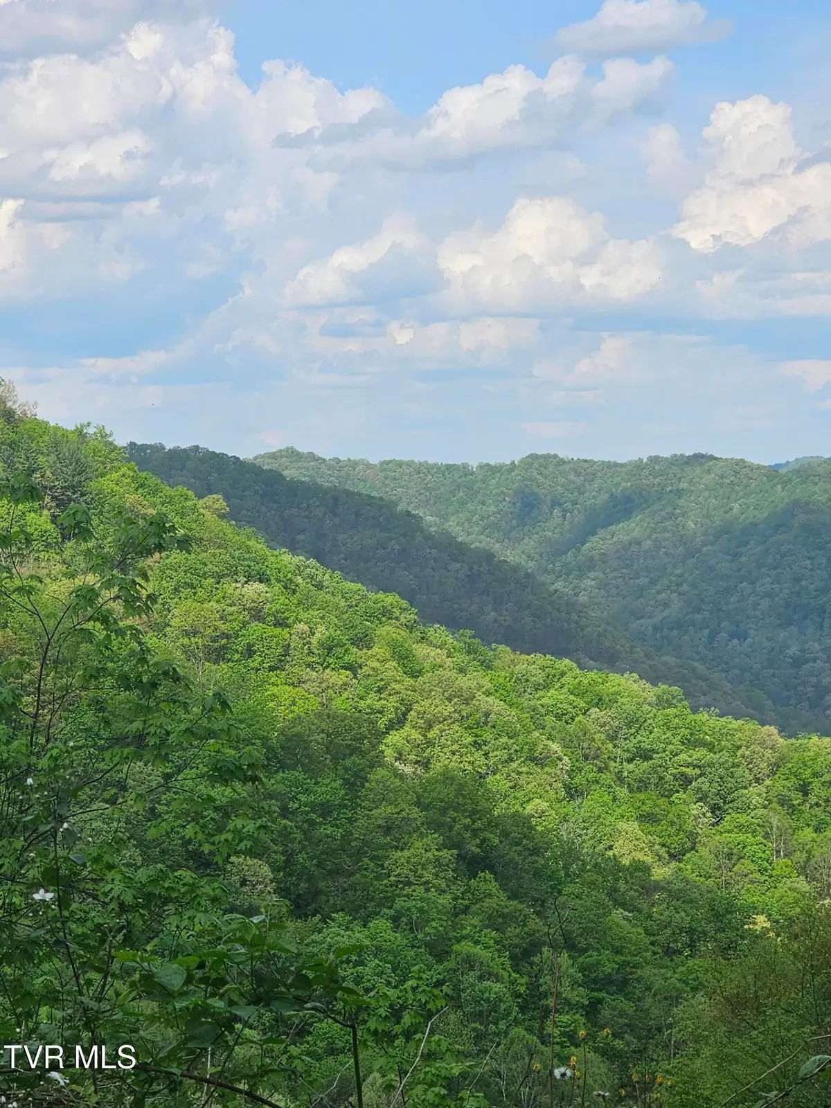 1097 Peter Pan Road, Big Rock, VA 24603 - Image #1