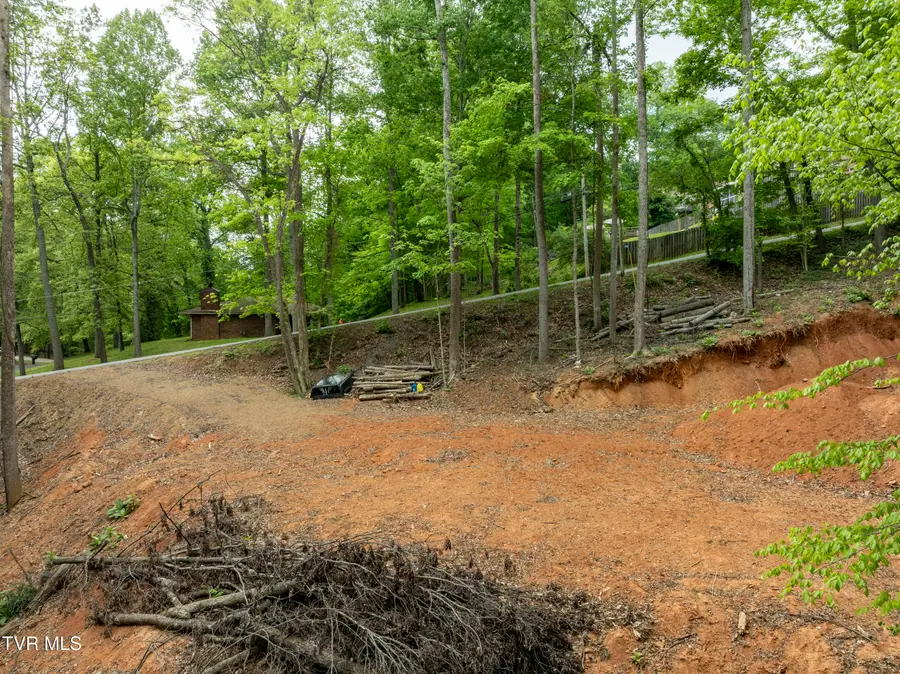 Lot 6 Briarwood Road, Kingsport, TN 37664 - Image #3