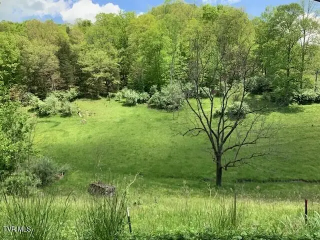 1478 Bellamy Tipton Road, Gate City, VA 24251 - Image #2
