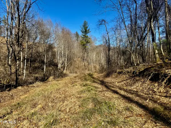 207/Ac Tbd Highway 421, Mountain City, TN 37683